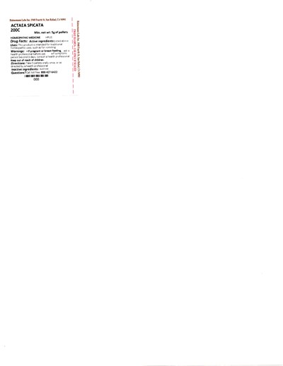 Actaea Spicata 200c 5g (Actaea Spicata 200c 5g)